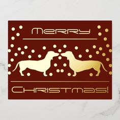 merry christmas card with two dogs in red and gold