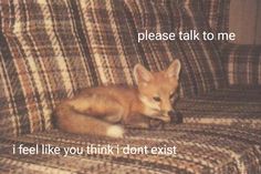 a baby fox sitting on top of a couch next to a pillow with the caption please talk to me i feel like you think i don't exit