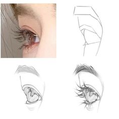 three different views of an eye, one with long eyelashes and the other with short lashes