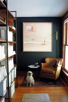 a dog sitting in the middle of a living room next to a book shelf filled with books