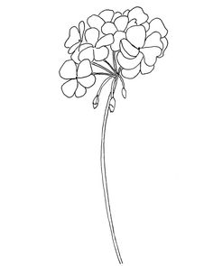 a flower that is in the middle of a line drawing