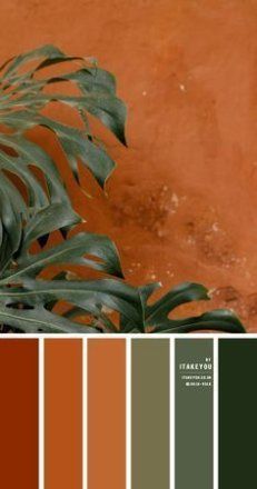 the color palette is brown and green