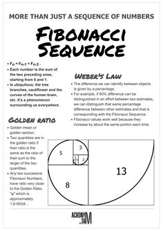 the fibonaci sequence worksheet is shown in this graphic file, which includes