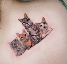 a woman's stomach with three cats on it