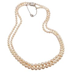 Dating to approximately 1940, this luxurious strand of luminous, gleaming nearly-antique cultured pearls is so fine in quality it rivals -and in some ways surpasses- that of natural, uncultured pearls. Composed of 155 creamy white graduated cultured Akoya pearls. measuring from 3mm to just above 8mm, this double-strand necklace features an exquisite 18K clasp set with four small, beautiful old-cut diamonds. The clasp bears marks from France. These pearls hail from the early days of the cultured pearl farming industry. As such, they were allowed to remain in the cold seawater for a longer period of time than modern Akoya pearls. The resulting pearls have thick nacre that gives them the luminous look of natural pearls, which are solid nacre. The pearls also have surface blemishes and imperfe Vintage Akoya Pearl Drop Necklace, Vintage Akoya Pearl Necklace For Formal Occasions, Vintage Single Strand Akoya Pearl Jewelry, Vintage Akoya Pearl Jewelry With Round Beads, Vintage Akoya Pearl Beaded Jewelry, Vintage Akoya Pearl Bead Jewelry, Vintage Akoya Pearl Necklace For Anniversary, Vintage Akoya Pearl Necklace, Double Strand Pearl Necklace For Formal Occasions