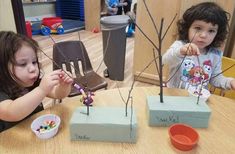 Tree Process Art Preschool, Parts Of A Tree Preschool Activities, Tu Bishvat Preschool, Tree In Classroom Ideas, Preschool Tree Study, Tree Study Creative Curriculum Preschool, Tree Activities For Preschool, Young Toddler Activities, Tree Activity