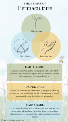 the four stages of permaculture info sheet with text and pictures on it