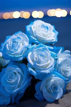 blue roses with water droplets on them sitting in front of the ocean and bouncy lights