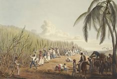 an old painting shows people on horseback and in the background is a corn field with palm trees