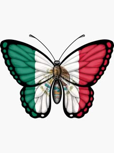 a butterfly with the flag of mexico painted on it's wings