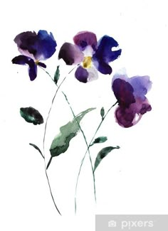 watercolor painting of purple and yellow flowers on white paper with text below the image