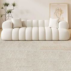 a white couch sitting on top of a wooden floor next to a plant in a living room