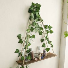 a shelf that has some plants growing on it and other items sitting on top of it