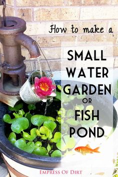 a small garden or fish pond with water flowing from the faucet and plants in it