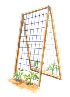 a drawing of an open window with plants growing in it