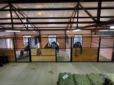 two horses in an enclosed area with hay on the floor and one horse eating grass