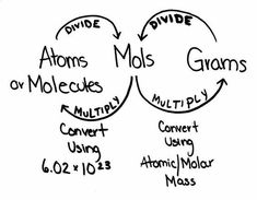 the diagram shows different groups of molluss and other things that can be used to make