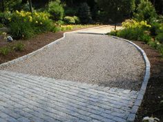 a person riding a skateboard on a paved path in the middle of a park