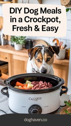 a dog sitting in front of a crock pot full of food with the words diy dog meals in a crockpot, fresh & easy