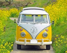 an old vw bus is parked on the side of a road in front of yellow flowers