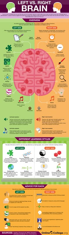 an info poster showing the different parts of brain and how they are used to describe them