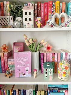 a shelf filled with lots of books and toys