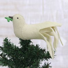 a white bird sitting on top of a green tree