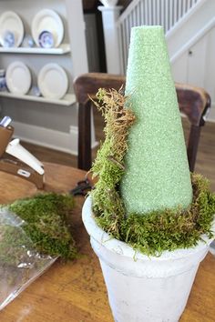 a potted plant with moss growing out of it on a table next to plates and utensils