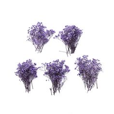 six small purple flowers are arranged in the shape of heart - shaped branches on a white background