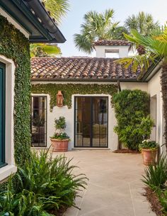 an outdoor courtyard with potted plants and palm trees