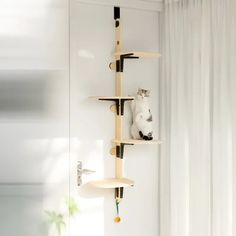 a white cat sitting on top of a wooden shelf next to a wall mounted bird feeder