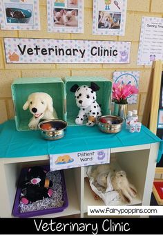 two dogs are eating food out of their bowls on the veterinary desk with posters above them