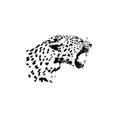 a black and white drawing of a cheetah's head with its mouth open