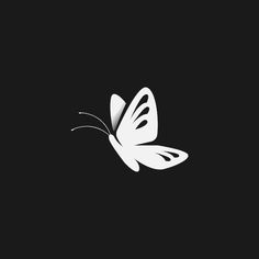 a white butterfly on a black background with the shadow of it's wings spread out