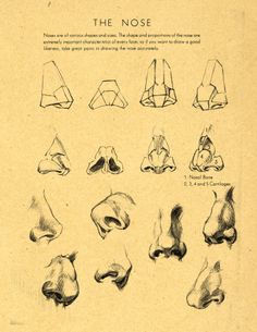 an old book with drawings of feet and noses