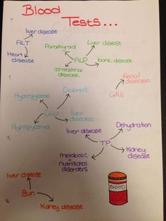 Pharmacology Vet Tech, Vet Tech Pharmacology, Vet Nurse Notes, Vet Laboratory, Phlebotomy Study, Veterinary Nursing, Future Veterinarian