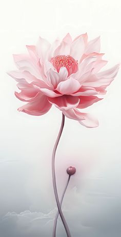 a large pink flower sitting on top of a body of water