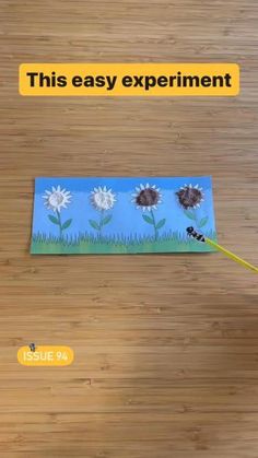 Get the BUZZY BEES edition of Whizz Pop Bang and you Pollination Experiment, Pollination Activity, Bee Games, Bee Activities, Stem Crafts, Science Crafts, Beeswax Food Wrap, Baby Learning Activities, Science Activities For Kids