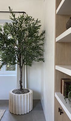 a potted plant sitting in the corner of a room next to a book shelf