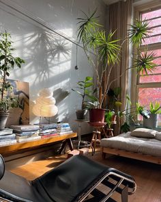 a living room filled with lots of plants next to a window covered in sun light