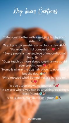 a woman's profile with the words dog loves captions written in front of her