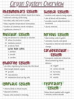 the organ system overview is shown in red and green text on a graph paper background