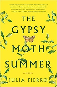 The Gypsy Moth Summer: A Novel: Amazon.ca: Julia Fierro: Books Best Beach Reads, Summer Book, Summer Books, Beach Reading, Summer Reading, A Novel, Bestselling Author