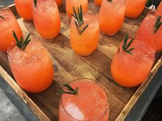 several glasses filled with orange liquid and garnished with rosemary