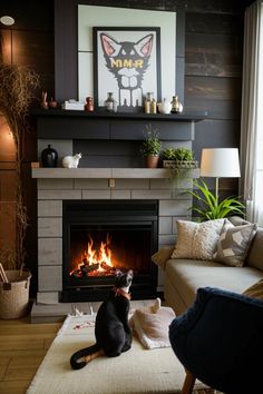 a living room with a fire place and a cat sitting on the floor in front of it