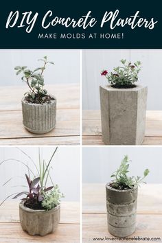 concrete planters make molds at home with text overlay that says diy concrete planters