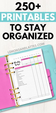 a pink binder with the words, 250 printables to stay organized on it