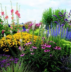 a garden filled with lots of different colored flowers