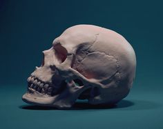 a white human skull on a blue background with only the lower half visible and part missing