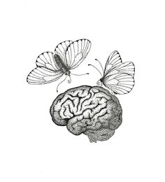 two butterflies sitting on top of a brain